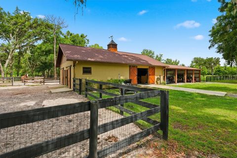 Tiny photo for 3551 E Highway 329, Anthony, FL 32617 (MLS # OM719291)
