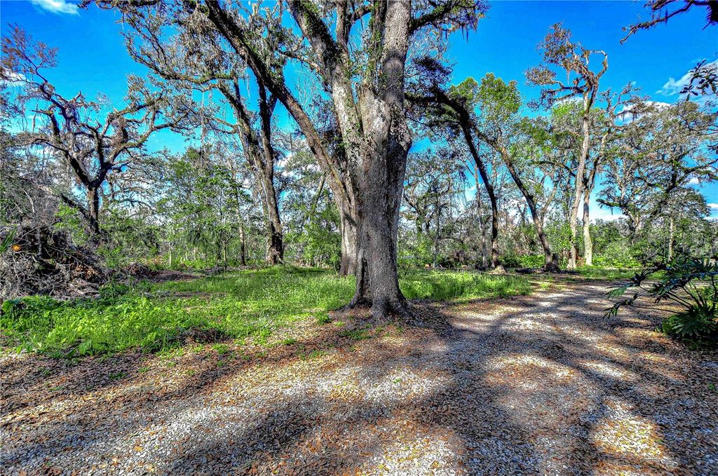 listing image 64