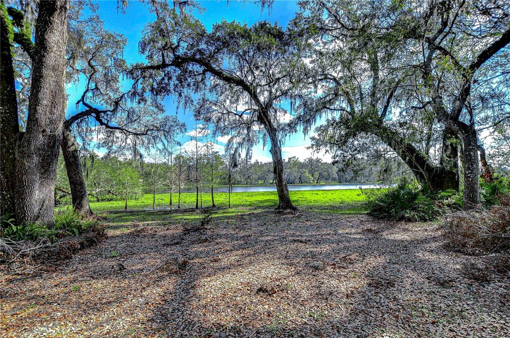 listing image 59