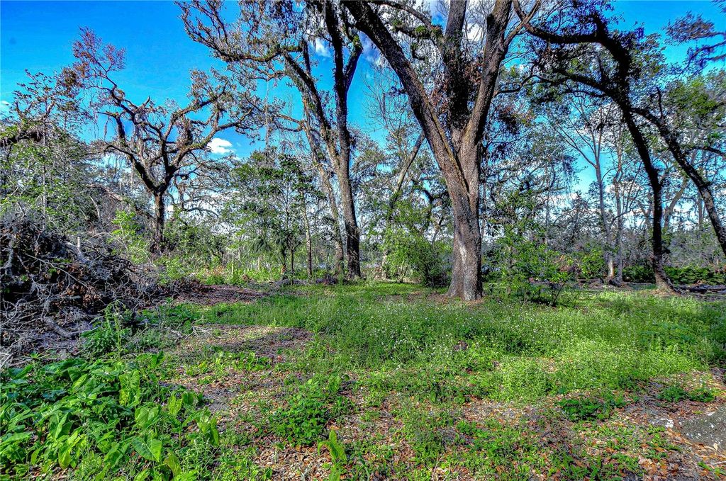 listing image 75