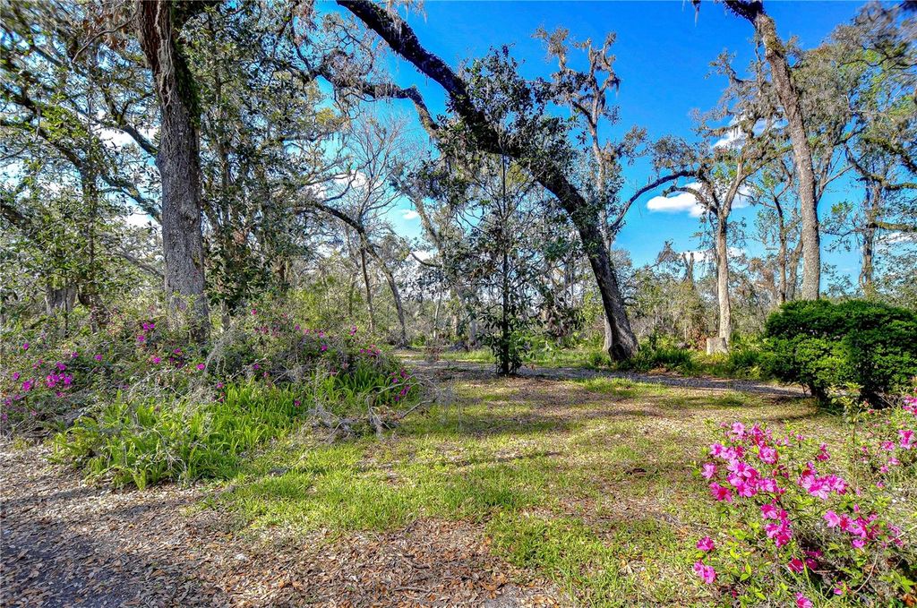 listing image 85