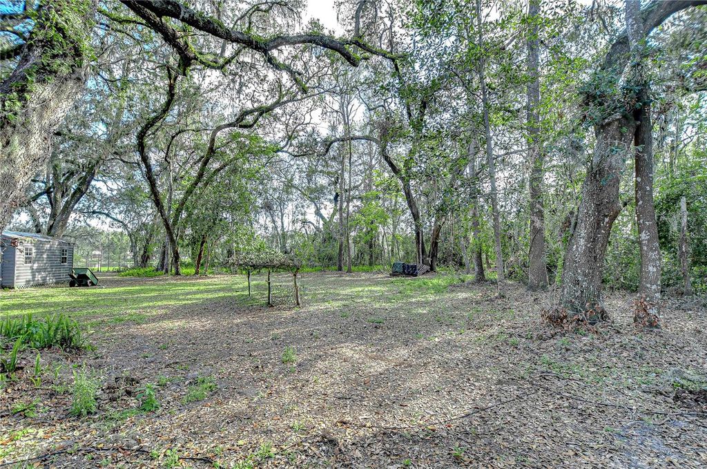 listing image 74