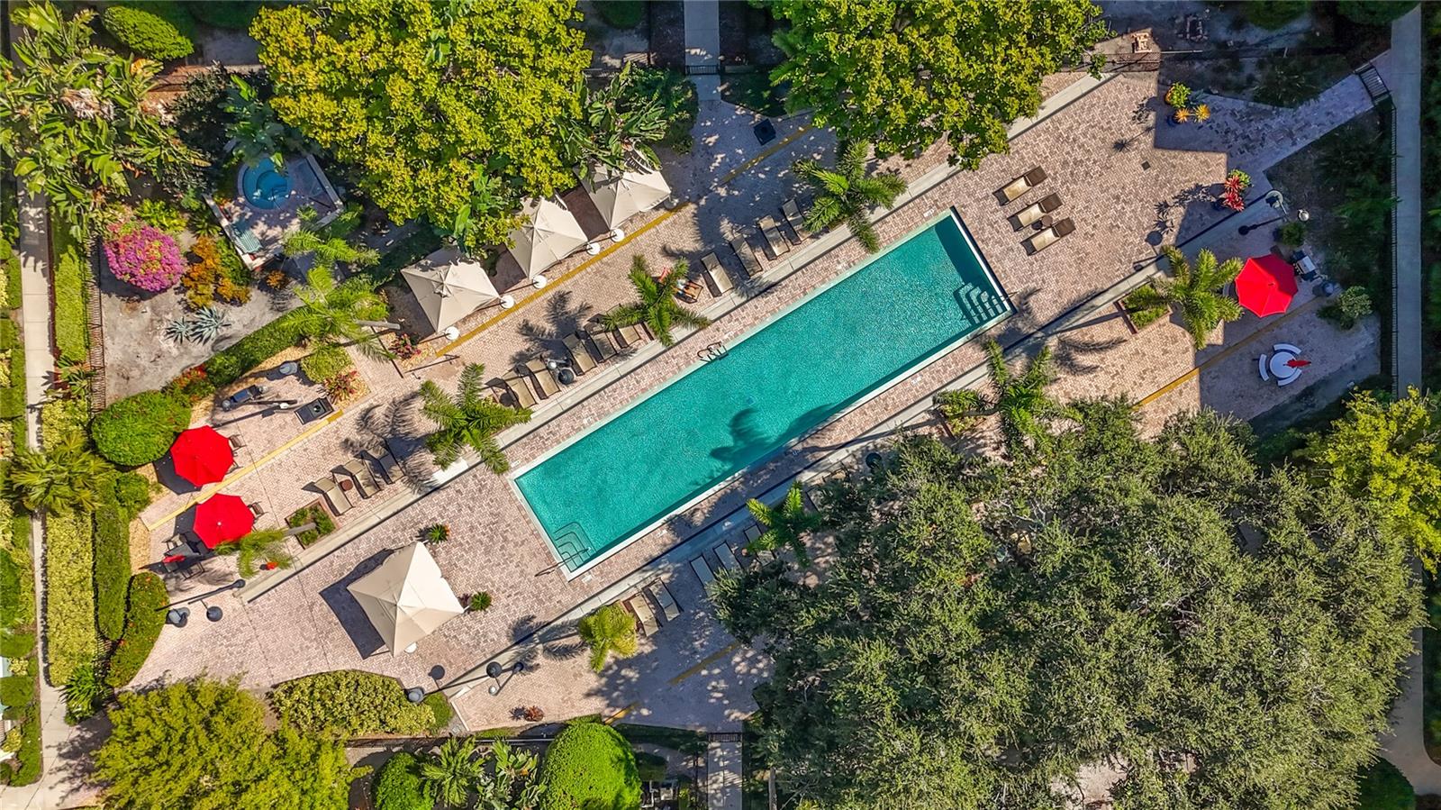 THE MADISON AT SOHO II CONDO - Residential