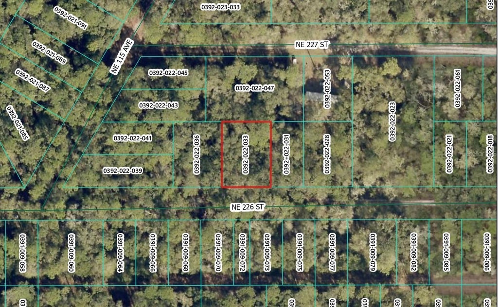 Photo of NE 226th Street, Orange Springs, FL 32182 (MLS # OM731476)