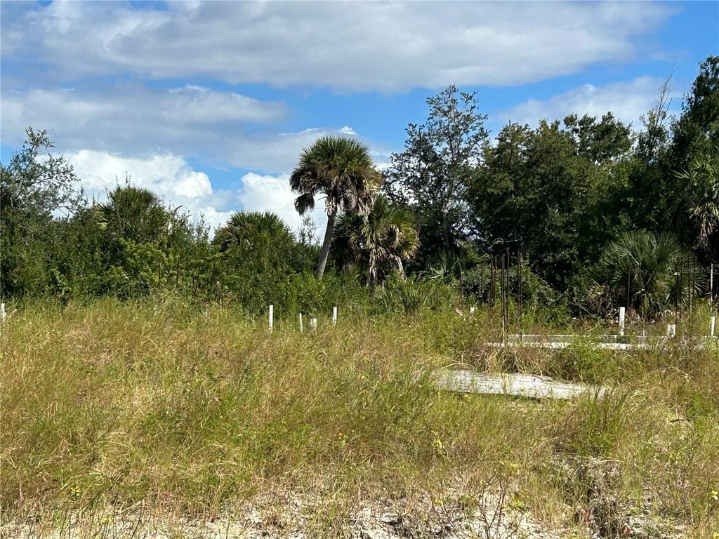 Photo of 10404 Port Everglades Street, Port Charlotte, FL 33981 (MLS # O6443854)