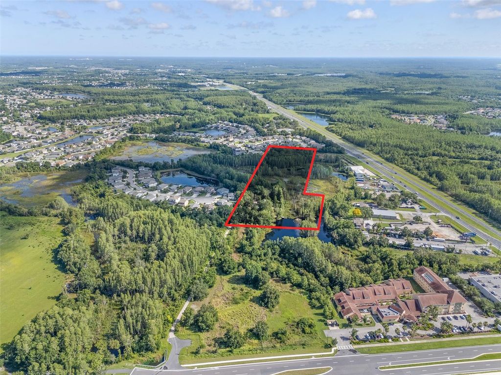 Photo of 20007 Betel Palm Lane, Land O Lakes, FL 34638 (MLS # TB8401467)