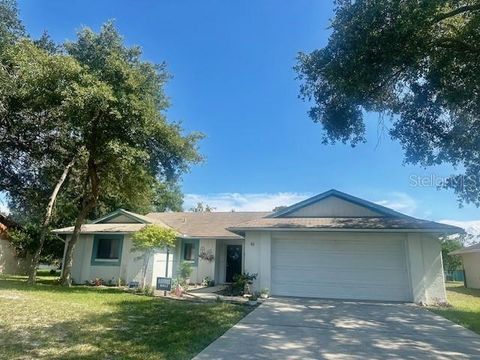 A home in PALM COAST