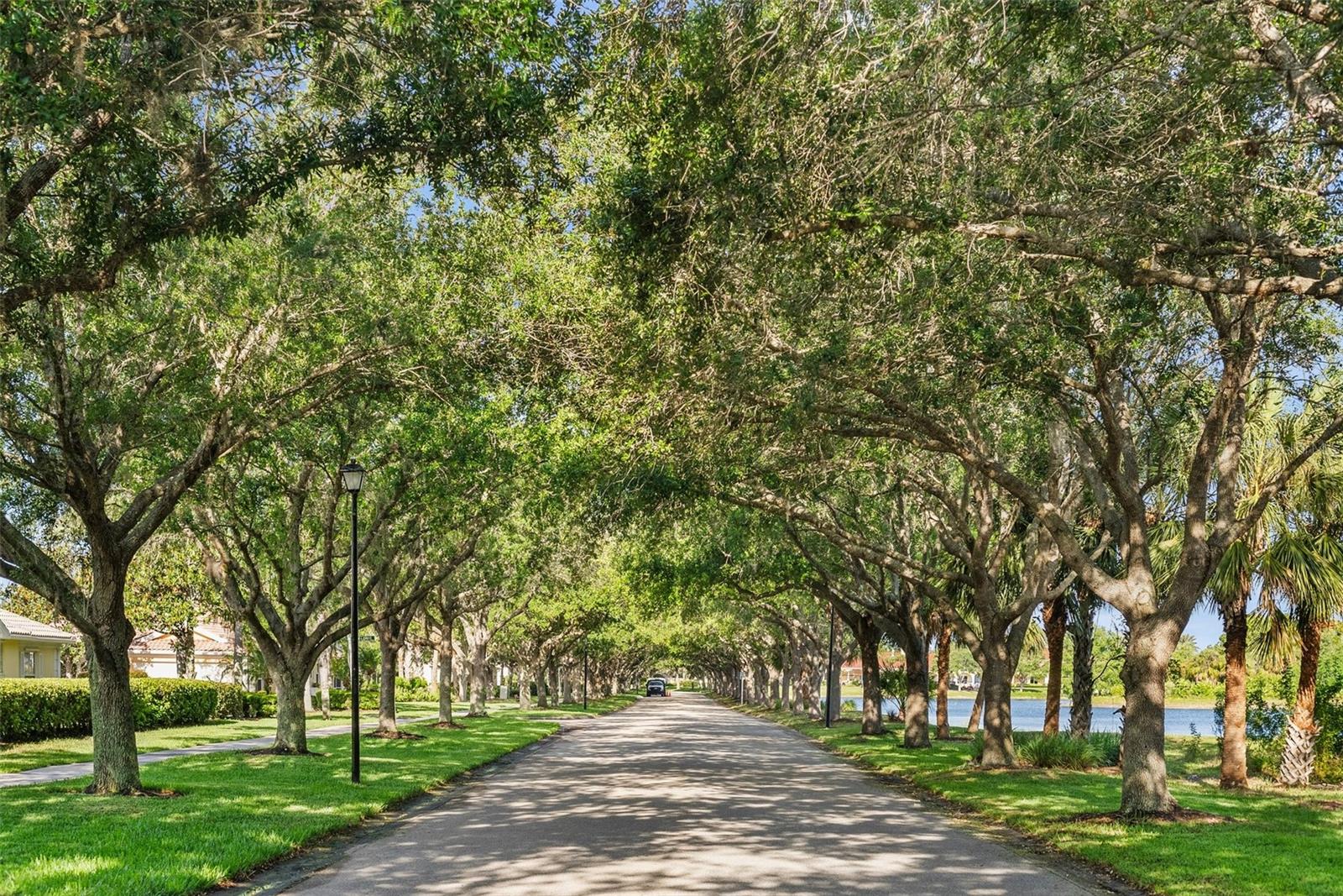 VILLAGEWALK - Residential