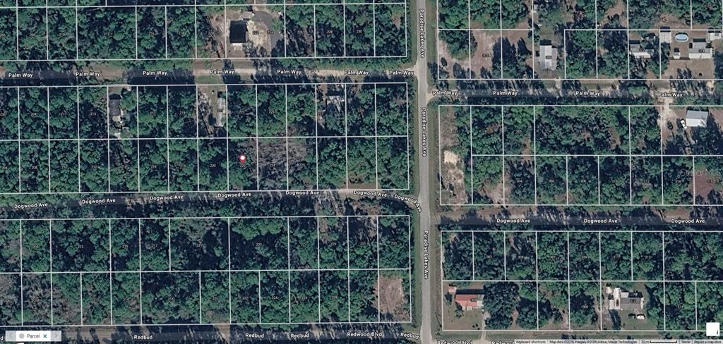 Photo of 222 Dogwood Avenue, Georgetown, FL 32139 (MLS # V4949169)