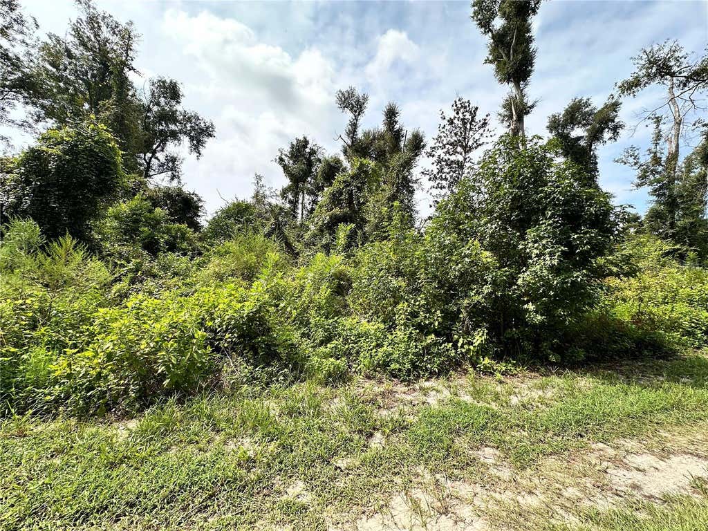Photo of NW West South Drive, Mayo, FL 32066 (MLS # OM730965)