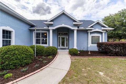 Tiny photo for 25101 Turkey Lake Road, Howey In The Hills, FL 34737 (MLS # G5111478)