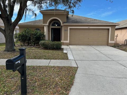 A home in LAND O LAKES