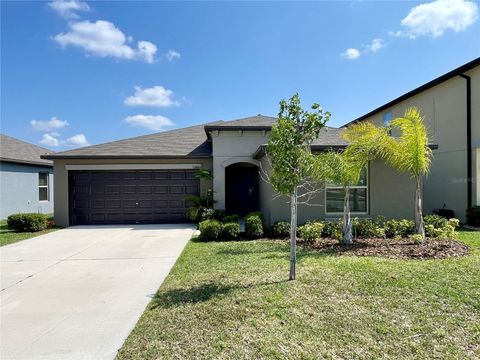 A home in RIVERVIEW