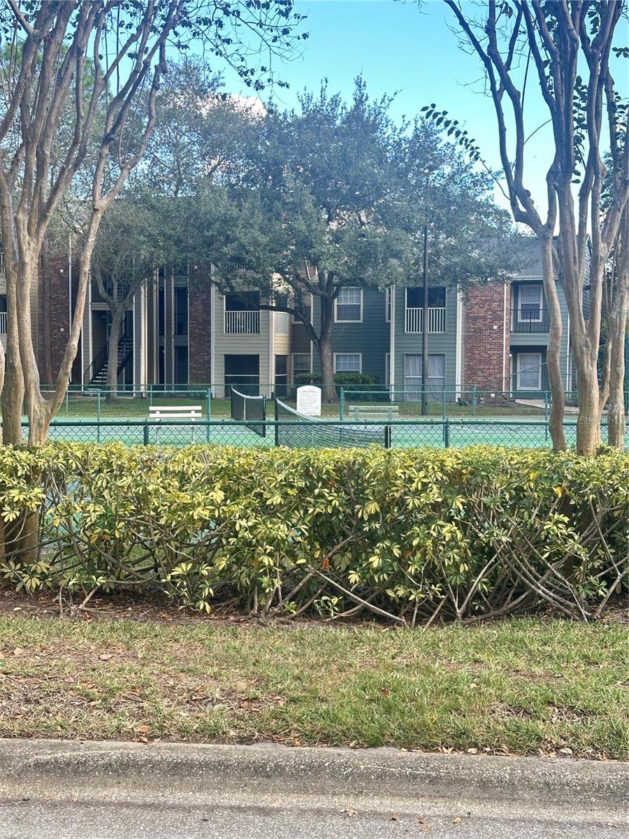 BELMONT/PK CENTRAL CONDO - Residential