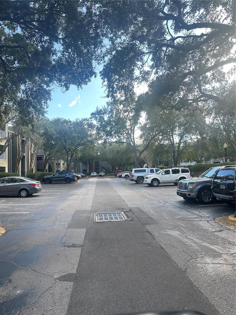 BELMONT/PK CENTRAL CONDO - Residential