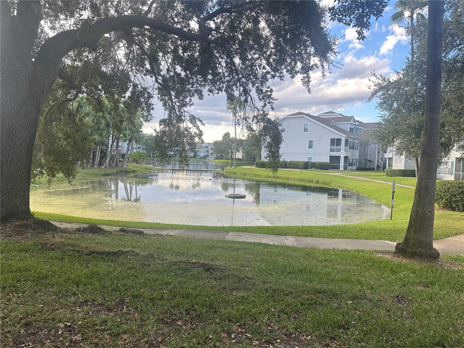 BELMONT/PK CENTRAL CONDO - Residential