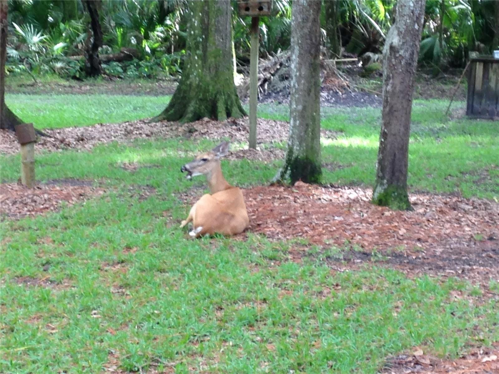 QUAIL RUN ESTATES - Residential