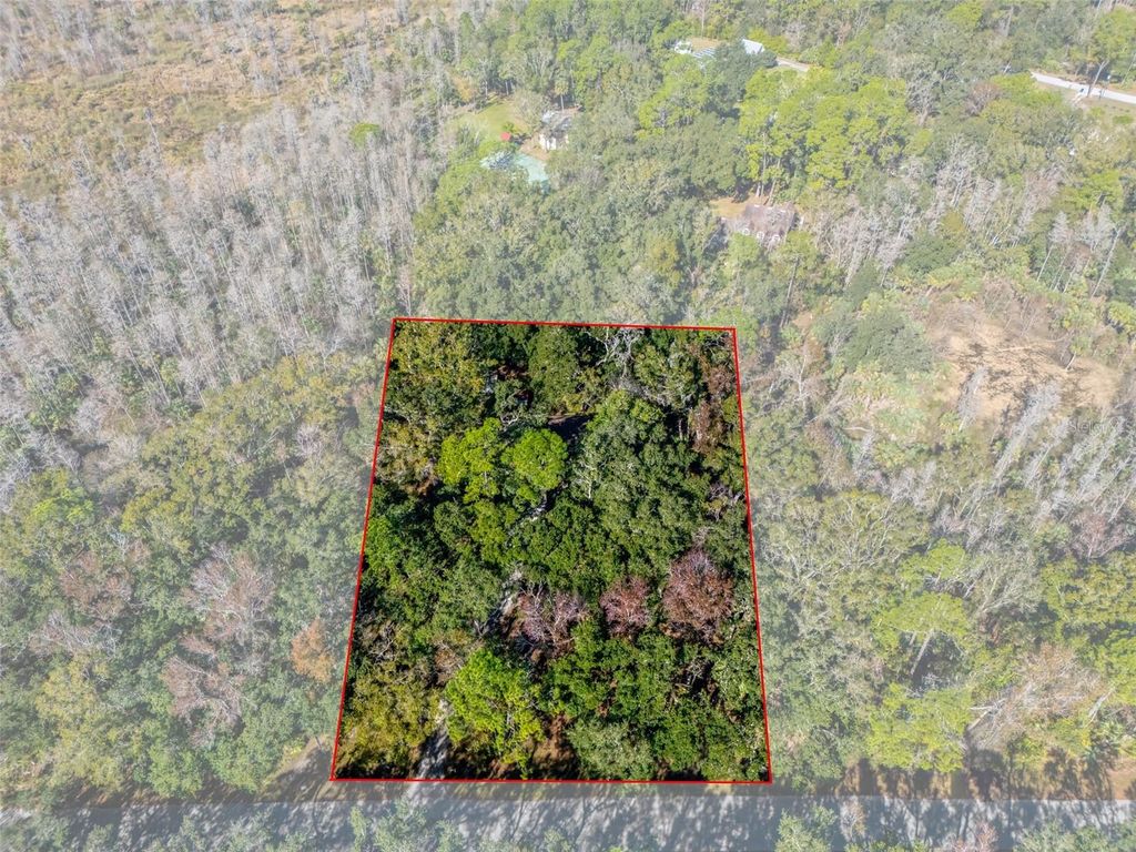 Photo of 8725 Quail Run Drive, Wesley Chapel, FL 33544 (MLS # A4676431)