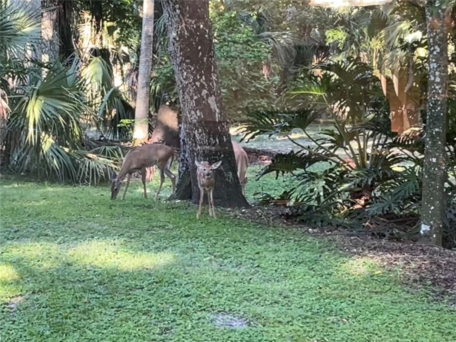 QUAIL RUN ESTATES - Residential