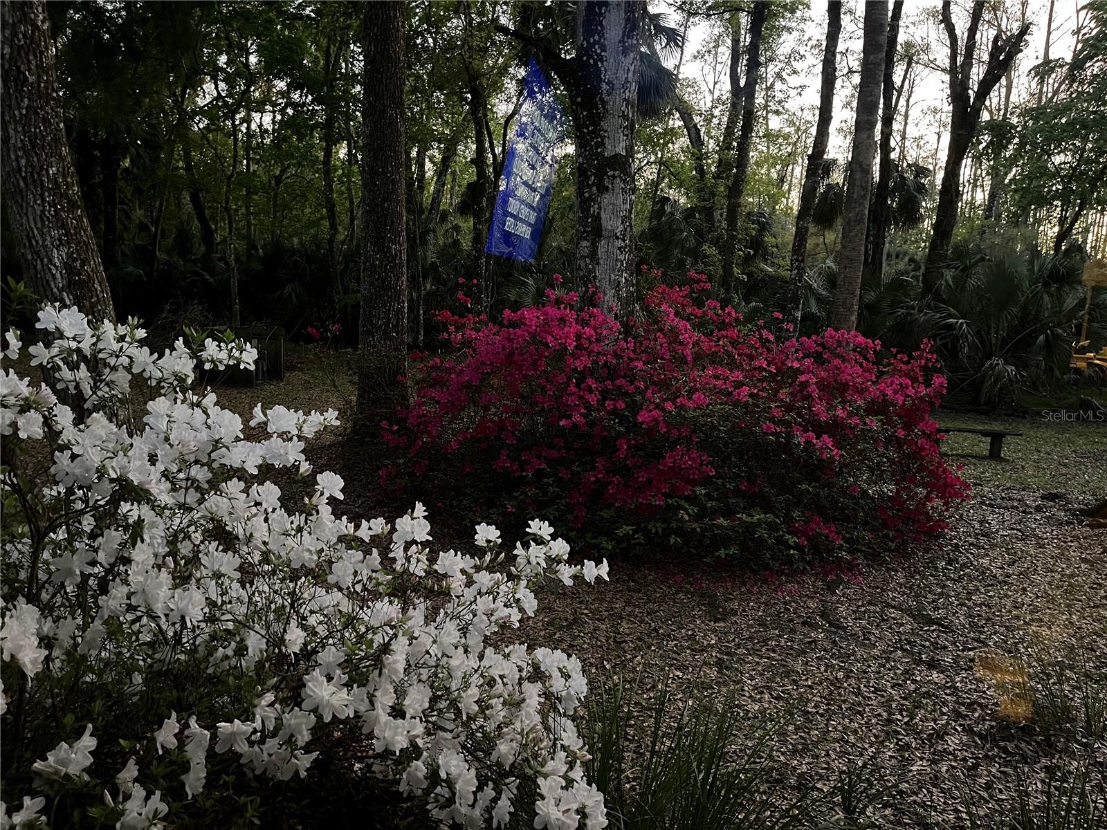 QUAIL RUN ESTATES - Residential