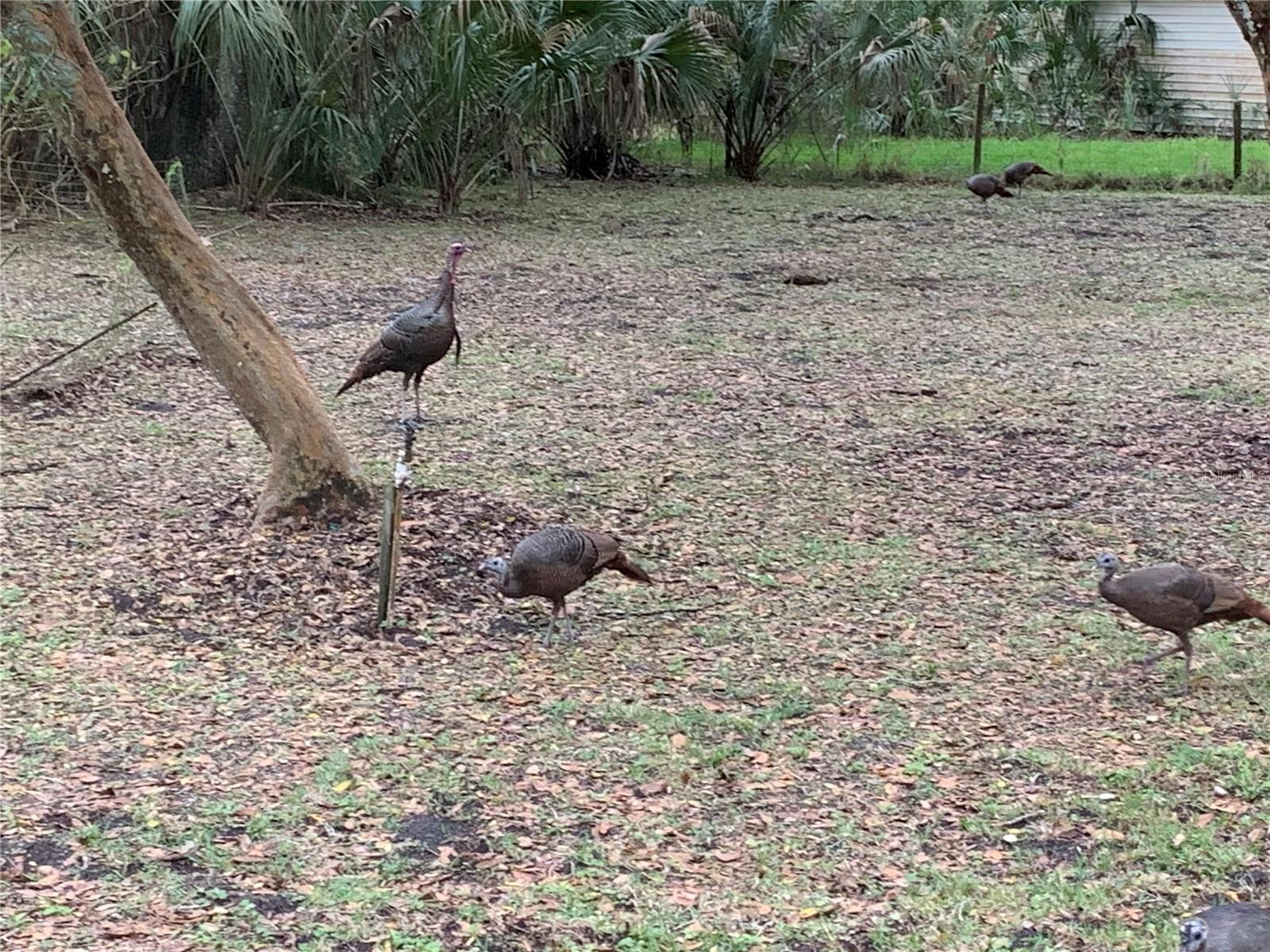 QUAIL RUN ESTATES - Residential