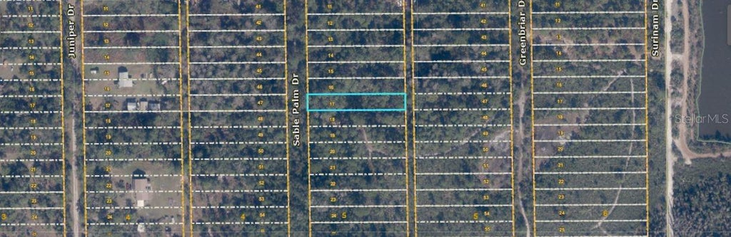 Photo of 1039 Sable Palm Drive, Christmas, FL 32709 (MLS # O6414478)