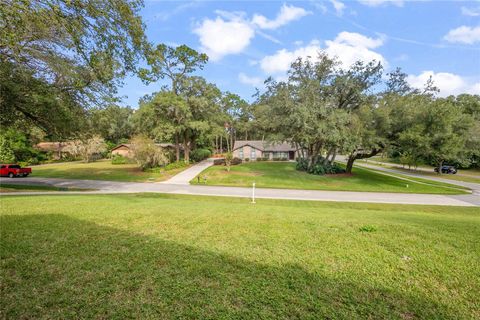 A home in DELAND