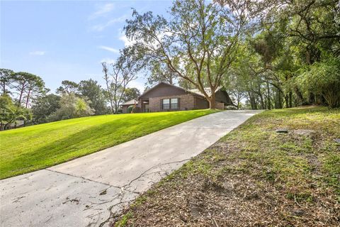 A home in DELAND