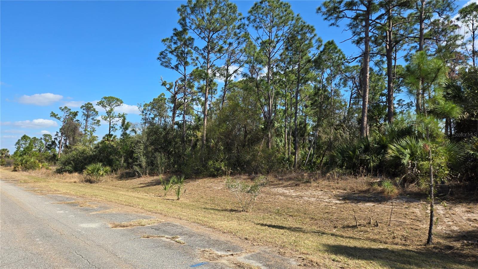 INCREDIBLE VACANT LOT LISTING! This lot is situated in a quiet semi-rural neighborhood in North Port. The lot is perfectly located with close proximity to Port Charlotte and North Port, giving you the flexibility to enjoy both areas. PERFECT for building your DREAM HOME with plenty of room for a pool. You'll be close to local shopping, dining, and so many more amenities. Just a short drive to I-75, the newly opened North Port Aquatic Center, Wellen Park, The Charlotte Sports Park welcoming the Tampa Bay Rays Spring Training and Cool Today Park, the Spring Training home of the World Champion Atlanta Braves. Bring your plans and break ground today !!!