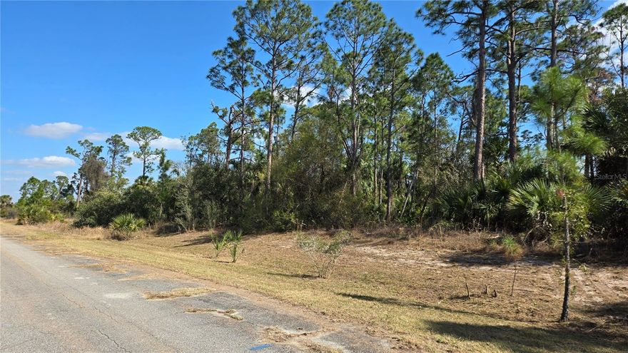 INCREDIBLE VACANT LOT LISTING! This lot is situated in a quiet semi-rural neighborhood in North Port. The lot is perfectly located with close proximity to Port Charlotte and North Port, giving you the flexibility to enjoy both areas. PERFECT for building your DREAM HOME with plenty of room for a pool. You'll be close to local shopping, dining, and so many more amenities. Just a short drive to I-75, the newly opened North Port Aquatic Center, Wellen Park, The Charlotte Sports Park welcoming the Tampa Bay Rays Spring Training and Cool Today Park, the Spring Training home of the World Champion Atlanta Braves. Bring your plans and break ground today !!!