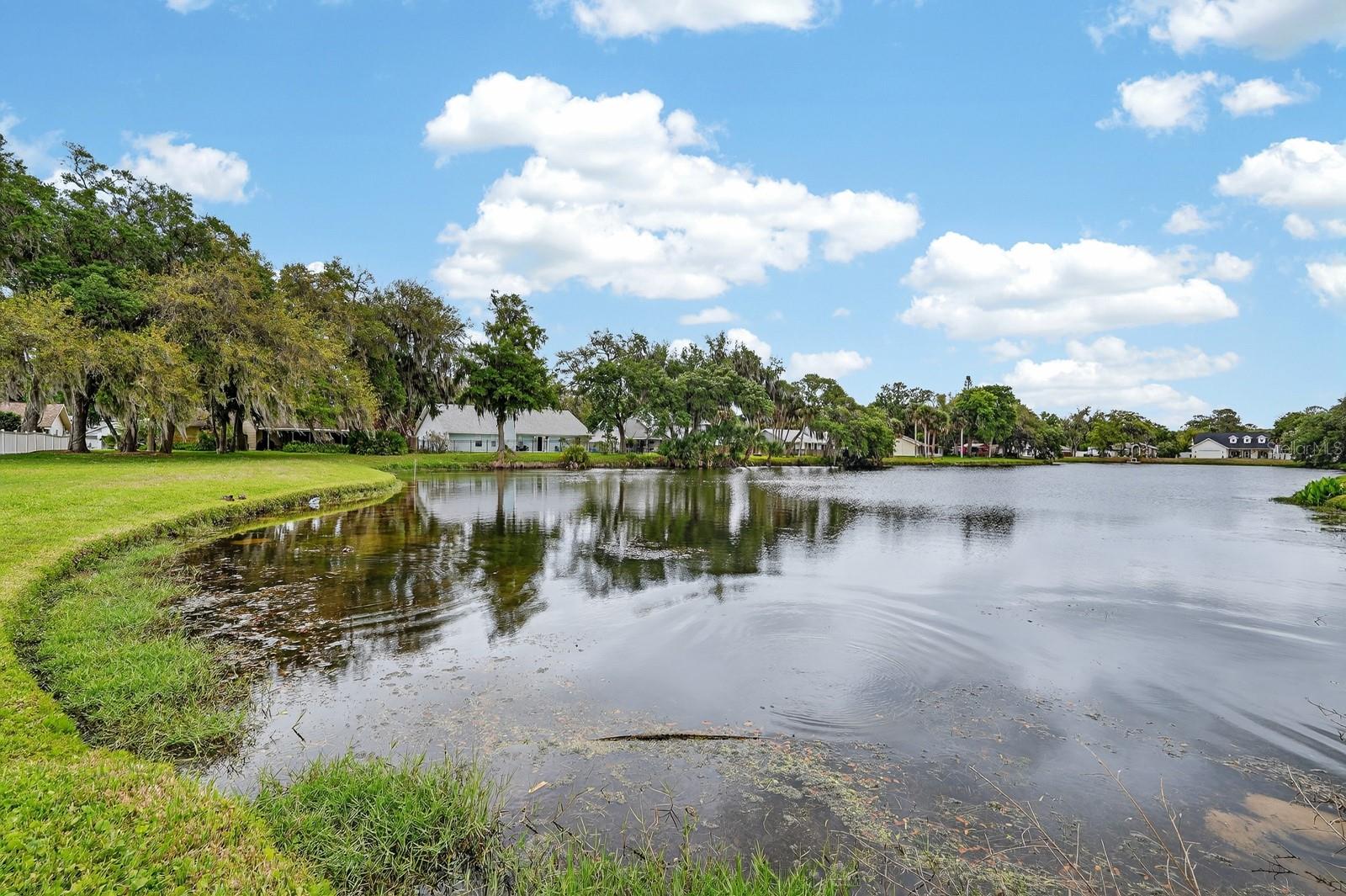 LONE OAK UNIT 01 - Residential