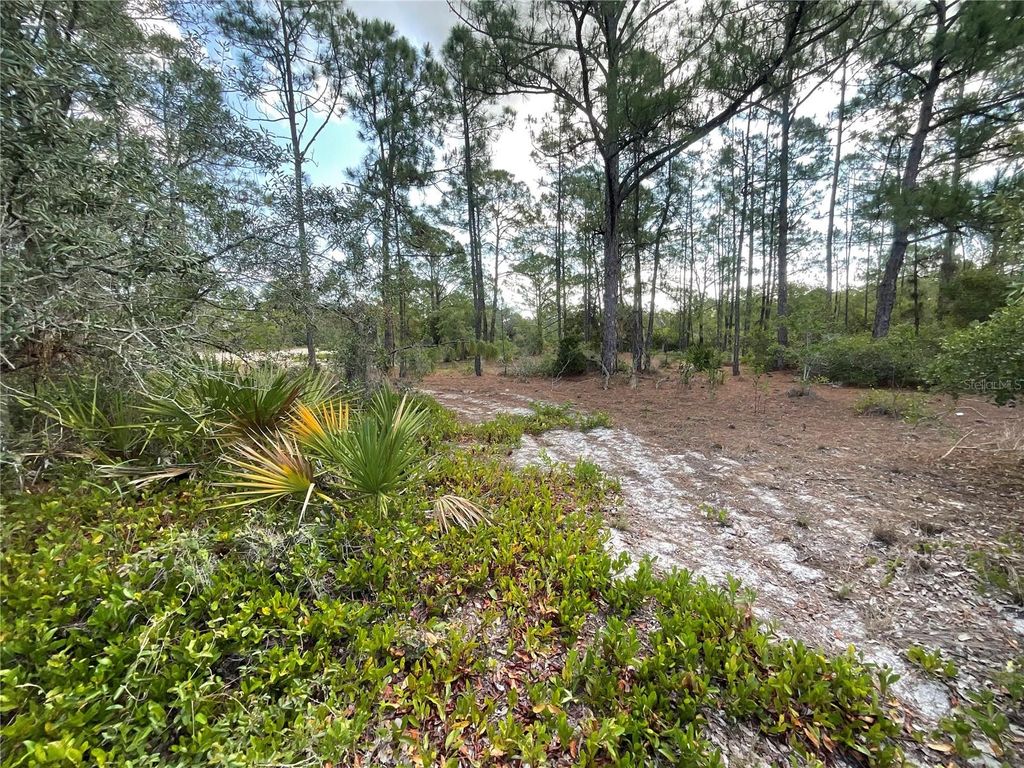 Photo of 515 Concert Drive, Lake Placid, FL 33852 (MLS # C7527366)