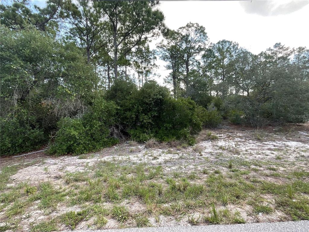 Photo of 515 Concert Drive, Lake Placid, FL 33852 (MLS # C7527366)