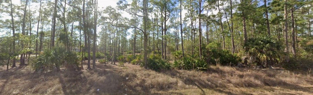 Photo of 1303 Glenn Avenue, Lehigh Acres, FL 33972 (MLS # OM726823)