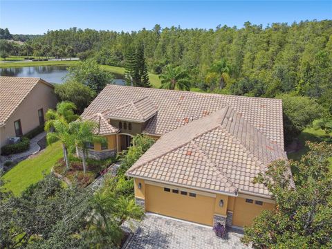 A home in KISSIMMEE