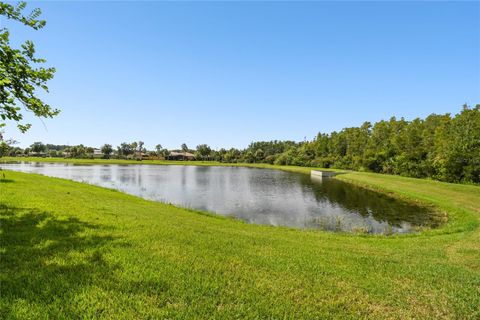 A home in KISSIMMEE