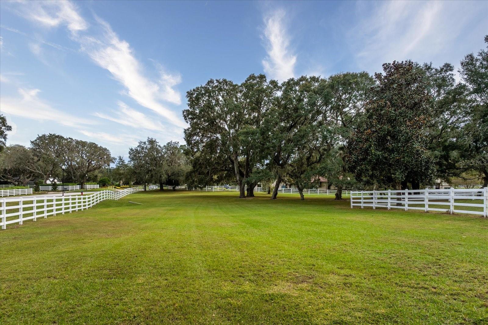 BLUEGRASS ESTS - Residential