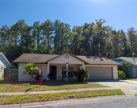 Photo of 8122 Matthew Drive, New Port Richey, FL 34653 (MLS # W7876989)