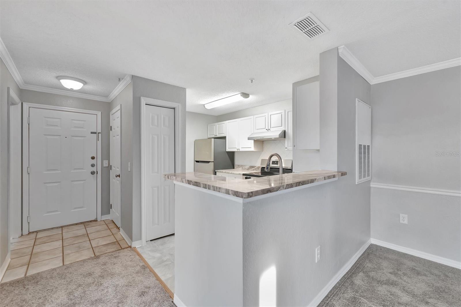 THE ENCLAVE AT RICHMOND PLACE - Residential