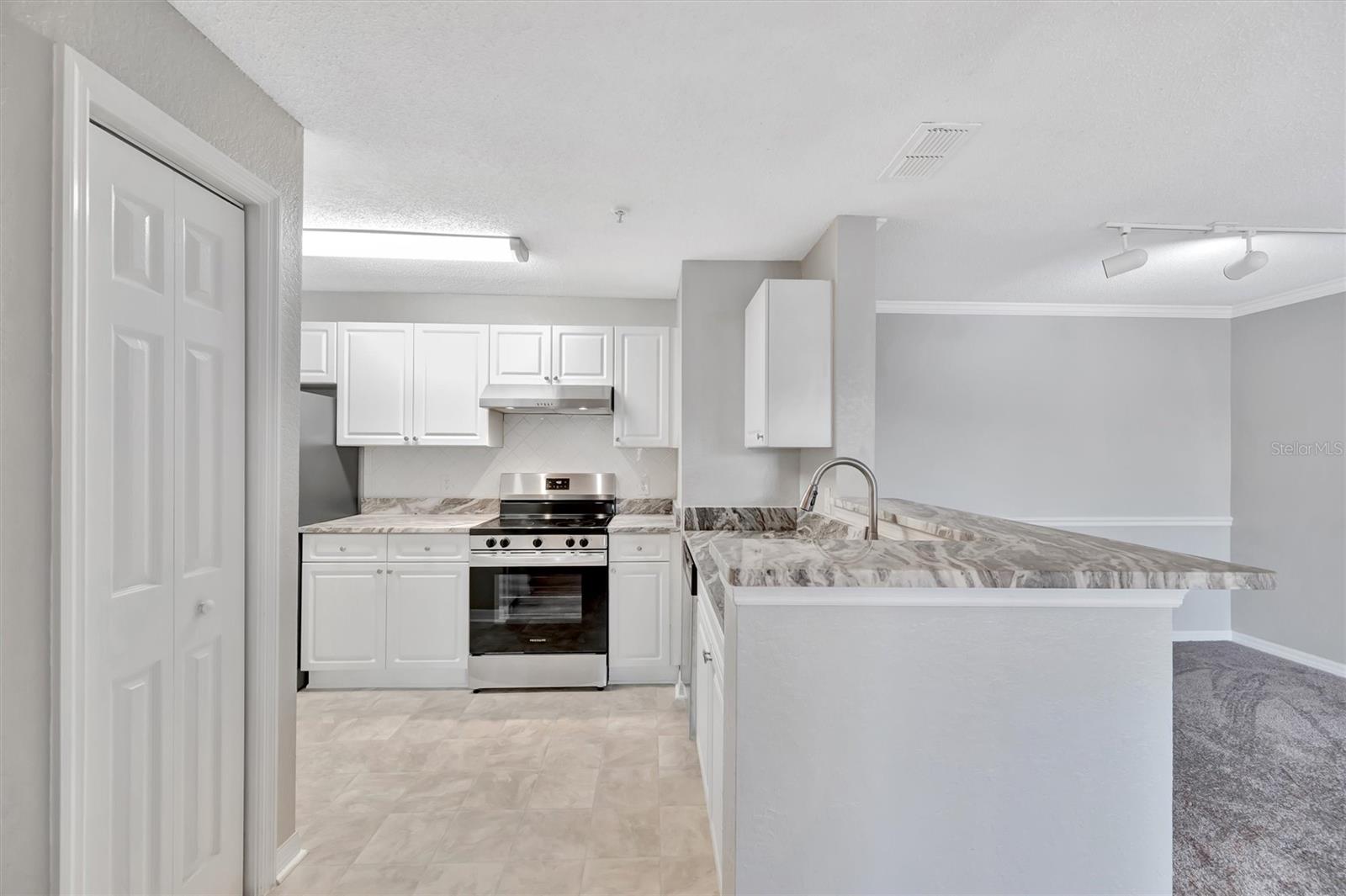 THE ENCLAVE AT RICHMOND PLACE - Residential