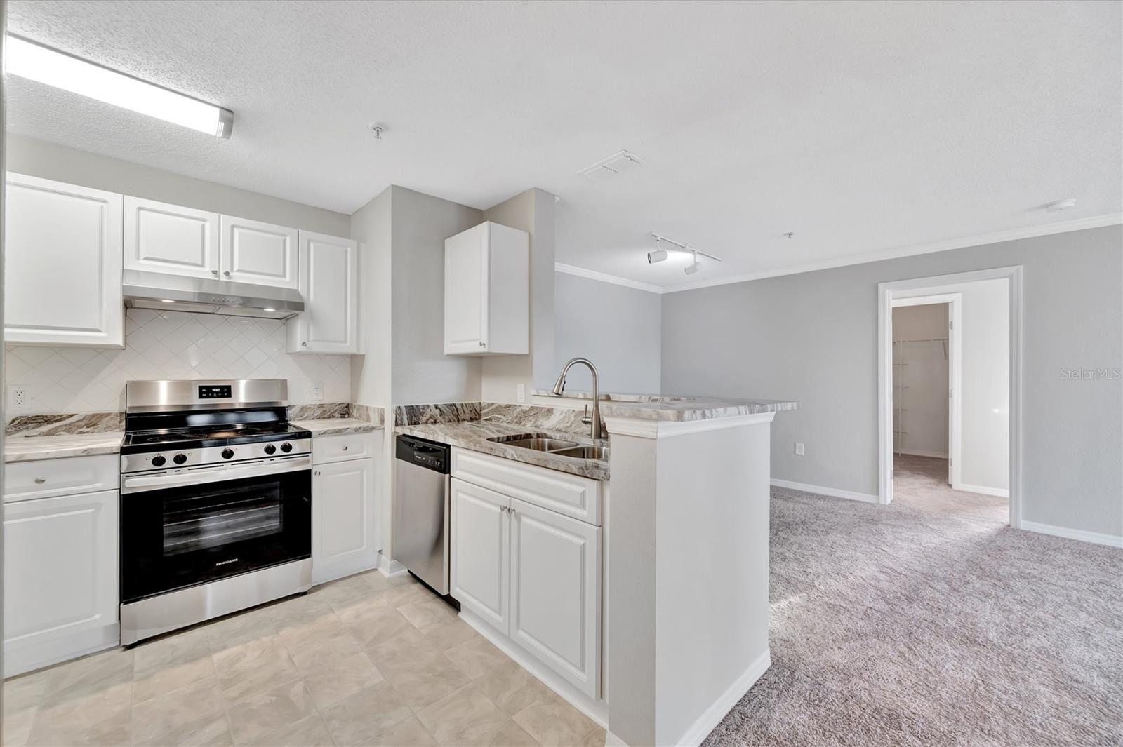 THE ENCLAVE AT RICHMOND PLACE - Residential