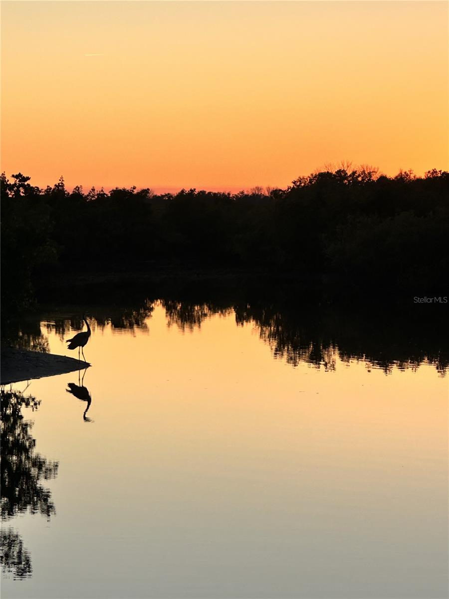 INLET SHORES - Residential