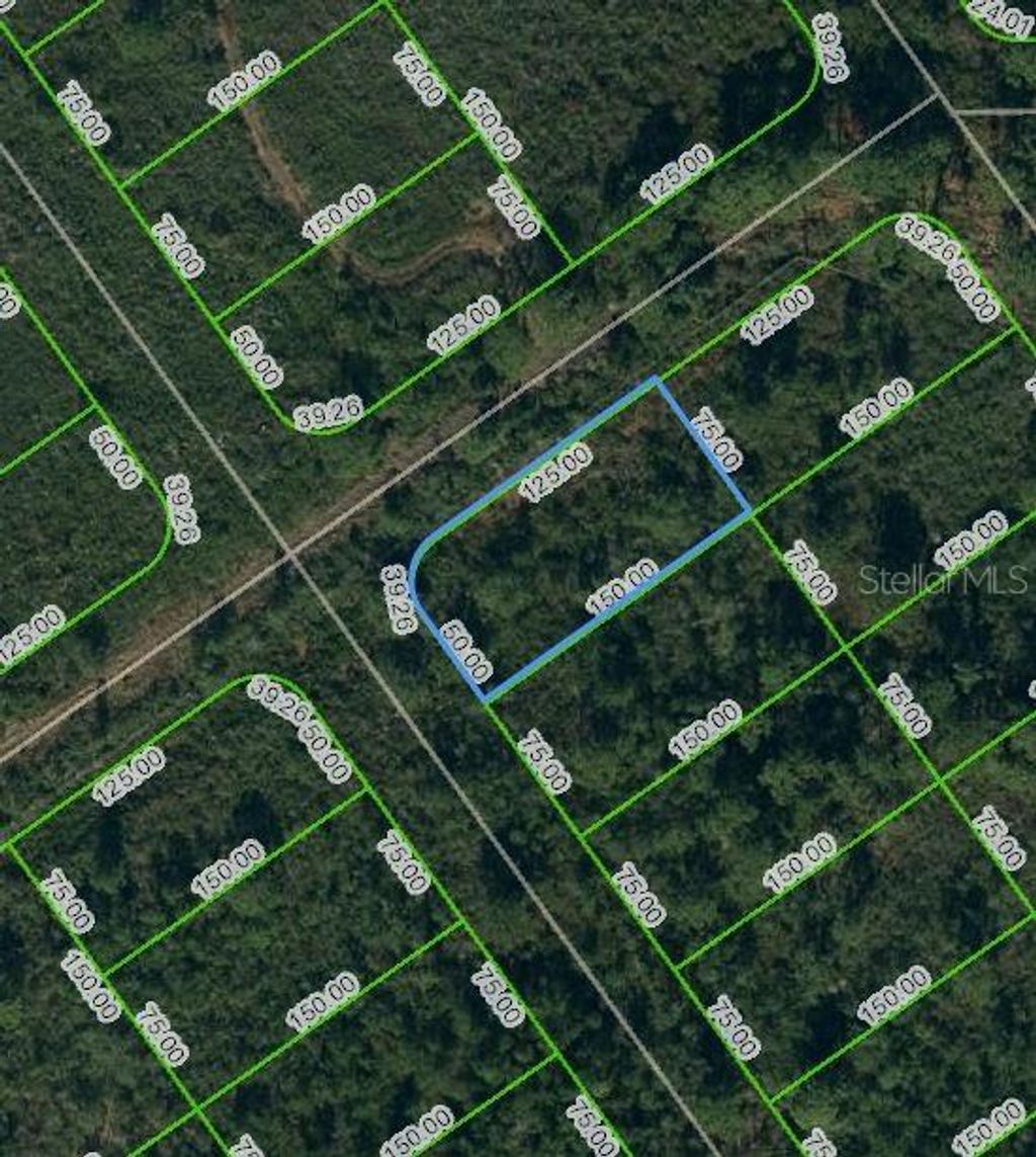 Photo of 569 Kennedy Street, Lake Placid, FL 33852 (MLS # OM624746)