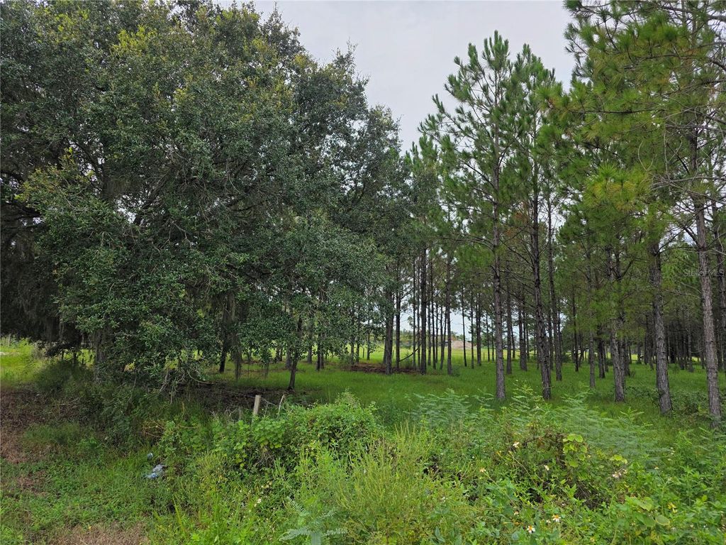 Photo of 10830 Moore Road, Lakeland, FL 33809 (MLS # O6350801)