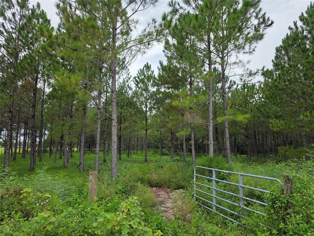Photo of 10830 Moore Road, Lakeland, FL 33809 (MLS # O6350801)