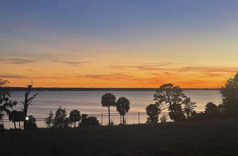 A home in MOUNT DORA