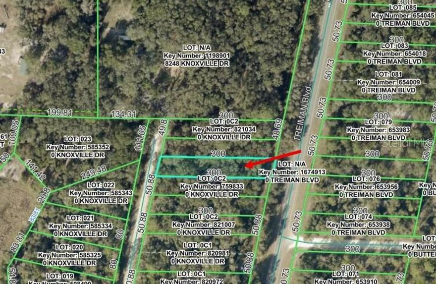 Build Your Dream Home on this .34-acre lot! Located in Hernando County with no HOA! Quiet country setting yet easy commute to Tampa (About 45 miles), Orlando (About 56 miles) or Ocala (about 53) via I75.  Close to downtown Dade City (About 13 miles) and Brooksville (about 18 miles) with monthly and annual events. About 8 miles to shopping center with restaurants, shops and Interstate I-75 or to downtown Bushnell (about 9 miles). Close to Withlacoochee State Trail, Silver Lake (about 10 miles) with camping, fishing and boating, hiking, birding and hunting at the Croom Wildlife management areas (about 15 miles). Croom Motorcycle Area with motor bike trails and camping (about 8 miles). Ridge Manor Community Park (about 4 miles) with playground, picnic pavilion and ball fields. Ridge Manor Community Center (about 4 miles) with community and social events.