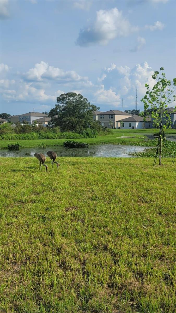 HIDDEN CREEK - Residential