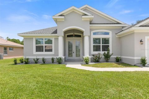 A home in PALM COAST