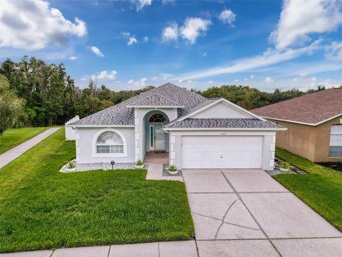 A home in LAND O LAKES